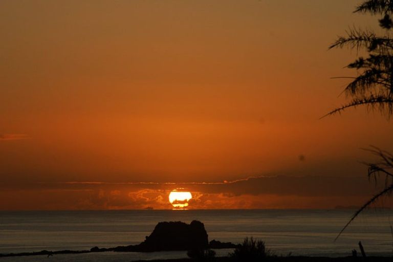 Photo of property in 41 Olsen Avenue, Mangawhai Heads, Mangawhai, 0505