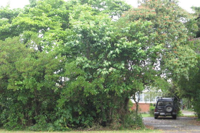 Photo of property in 38 Ford Street, Opotiki, 3122