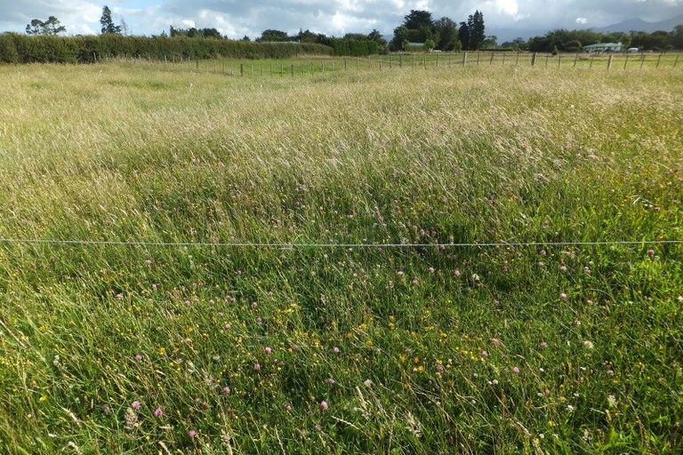 Photo of property in 89 Lepper Road, Inglewood, 4386