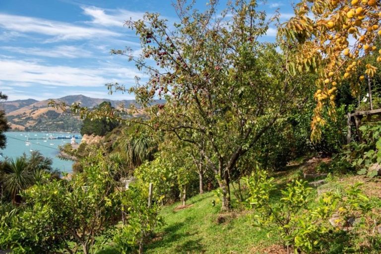 Photo of property in 217 Beach Road, Akaroa, 7520