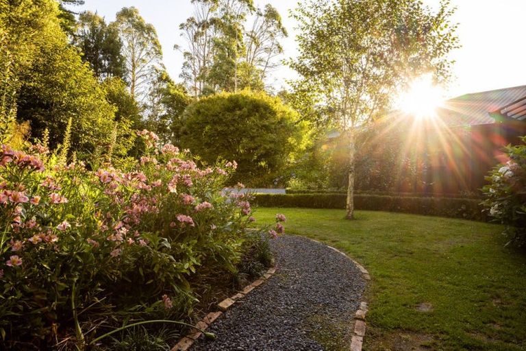 Photo of property in 109 Butcher Road, Matangi, Hamilton, 3284