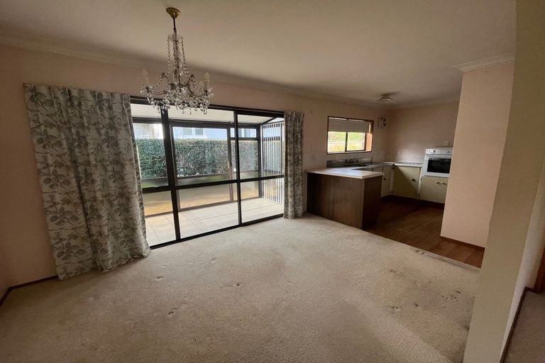 Photo of property in 125 Thirteenth Avenue, Tauranga South, Tauranga, 3112