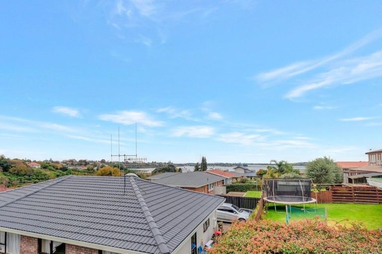 Photo of property in 65 Harrier Street, Parkvale, Tauranga, 3112