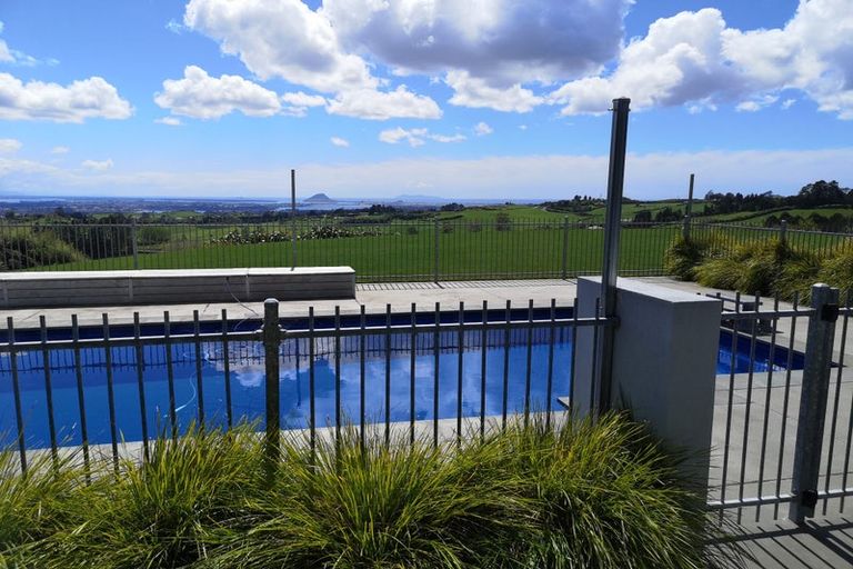 Photo of property in 905 Upper Ohauiti Road, Ohauiti, Tauranga, 3173