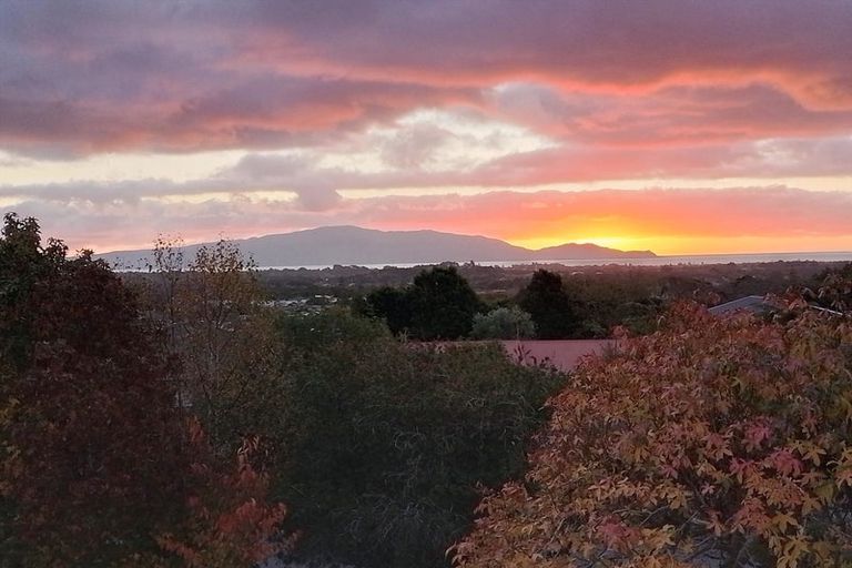 Photo of property in 47 Kakariki Grove, Waikanae, 5036