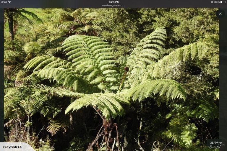 Photo of property in 543 Three Mile Bush Road, Te Kamo, Kamo, 0185