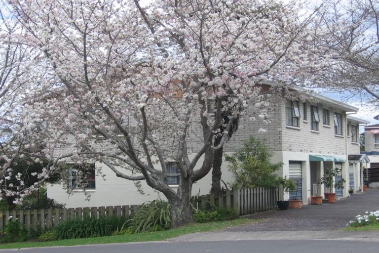 Photo of property in 35b Scantlebury Street, Tauranga South, Tauranga, 3112