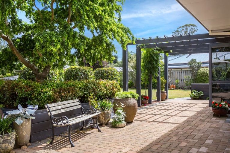 Photo of property in 8 Mole Street, Greytown, 5712