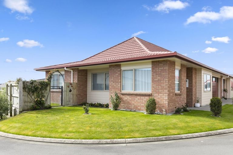 Photo of property in Trackside Villas, 27/91 Mako Mako Road, Levin, 5510