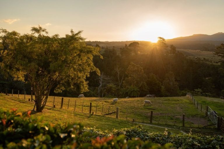 Photo of property in 454 Wainui Road South, Whakamarama, Katikati, 3181