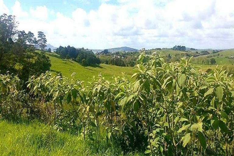 Photo of property in 14/12 Wattle Lane, Raumanga, Whangarei, 0110