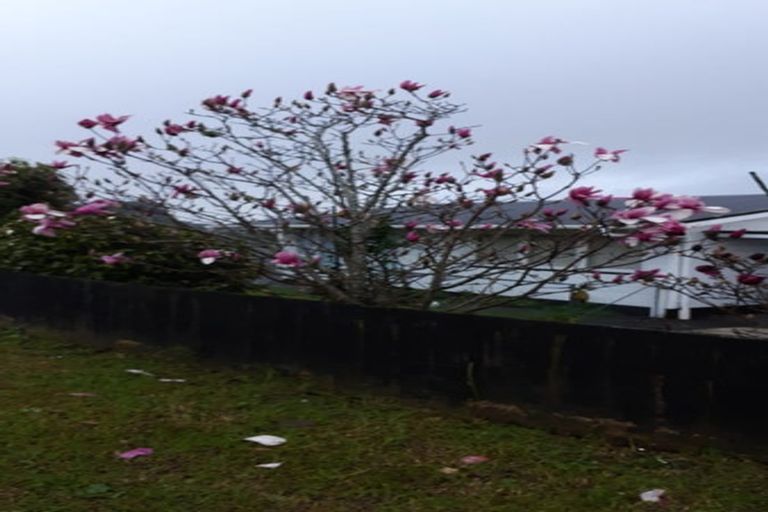 Photo of property in 41 Hobsonville Road, West Harbour, Auckland, 0618