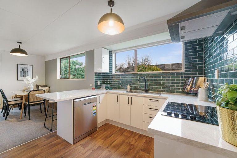 Photo of property in 3 Matipo Street, Levin, 5510