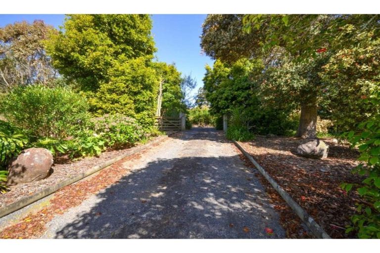 Photo of property in 66 Wiroa Road, Kerikeri, 0293