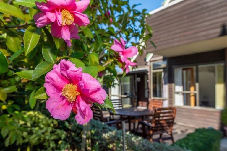 Photo of property in 1/35 Solway Avenue, Ilam, Christchurch, 8041