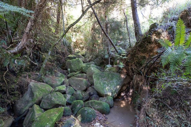 Photo of property in 55a Toots Drive, Kawakawa, 0282