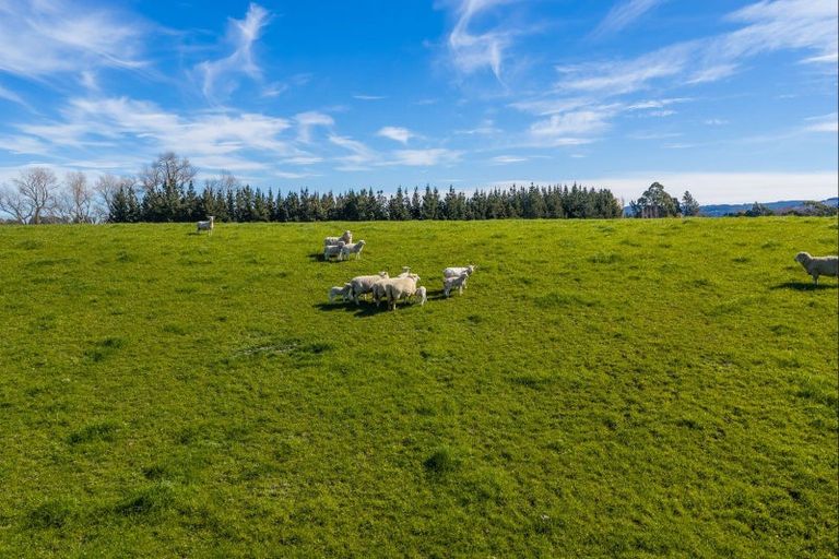 Photo of property in 266 Rangiora Leithfield Road, Sefton, 7477