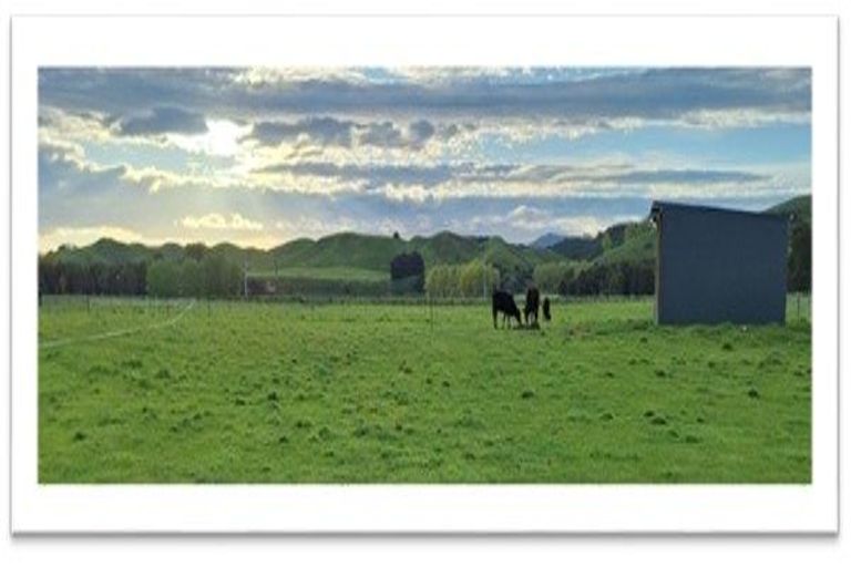 Photo of property in 161 Te Awa Road, Pohangina, Ashhurst, 4777