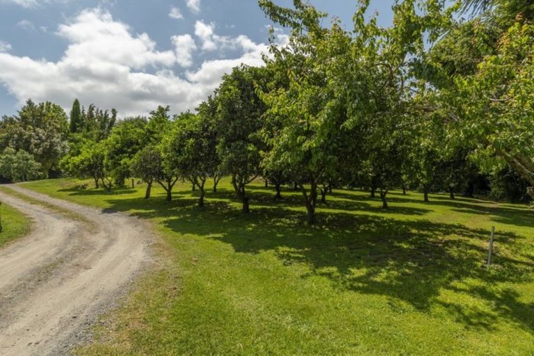 Photo of property in 14 Fasching Lane, Tauriko, Tauranga, 3110