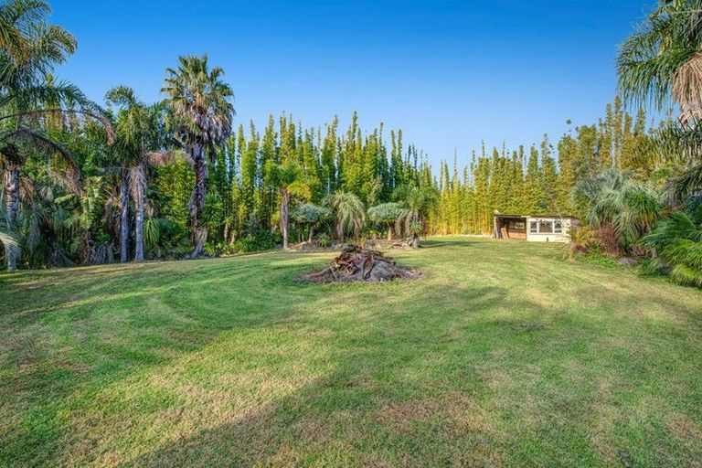 Photo of property in 257 Pine Valley Road, Dairy Flat, Silverdale, 0992