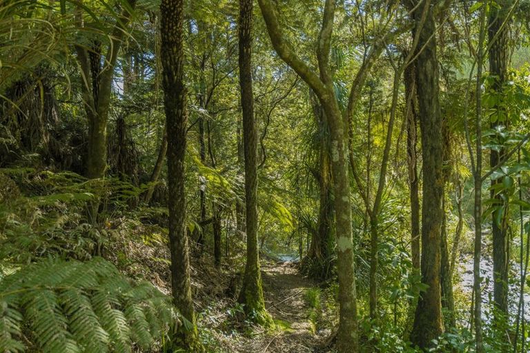 Photo of property in 179 The 309 Road, Waiau, Coromandel, 3581