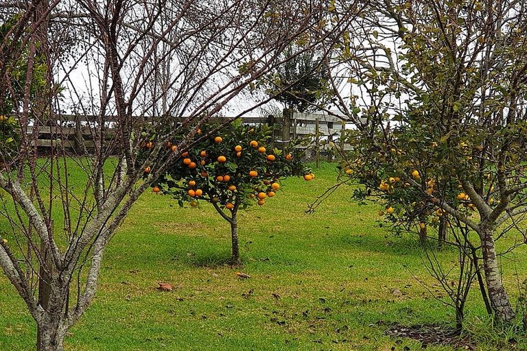 Photo of property in 91 Jumna Road, Maungaturoto, 0587