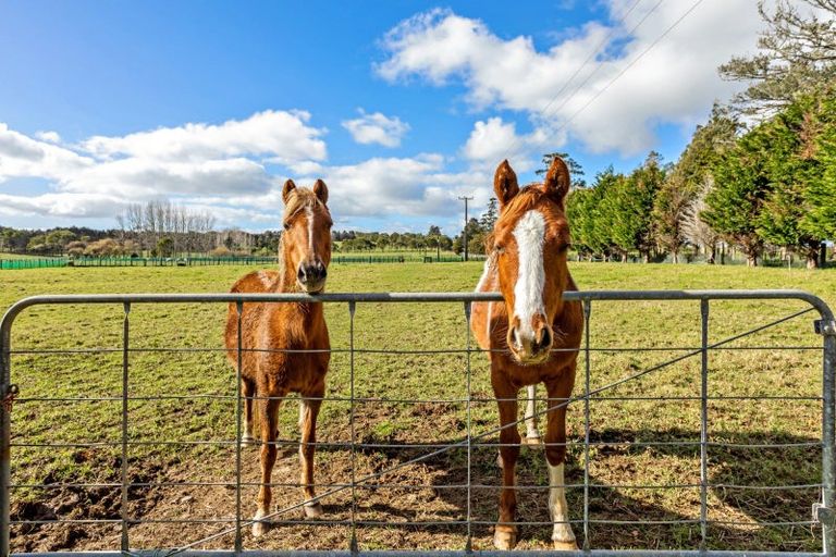 Photo of property in 341a Matauri Bay Road, Kaeo, 0478