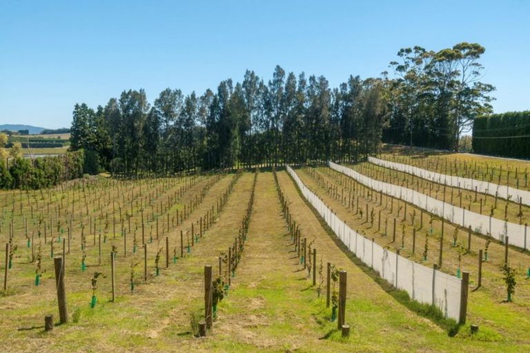 Photo of property in 195 Stewart Road, Whakamarama, Katikati, 3181