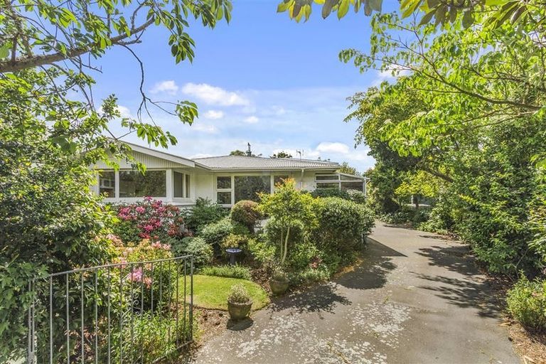 Photo of property in 19 Braithwaite Street, Ilam, Christchurch, 8041