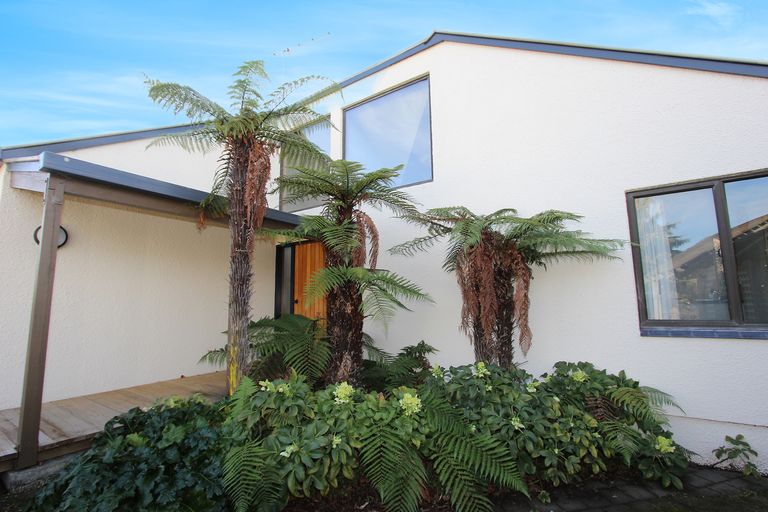 Photo of property in 3 Harvey Place, Renwick, 7204