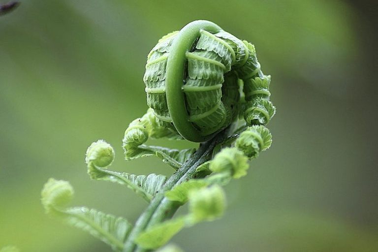 Photo of property in 105b Newman Road, Stillwater, Silverdale, 0993