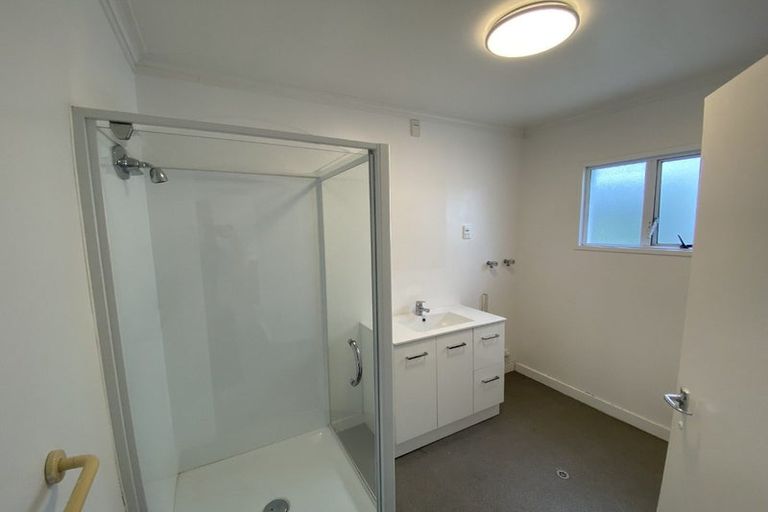 Photo of property in 160 Hanson Street, Newtown, Wellington, 6021