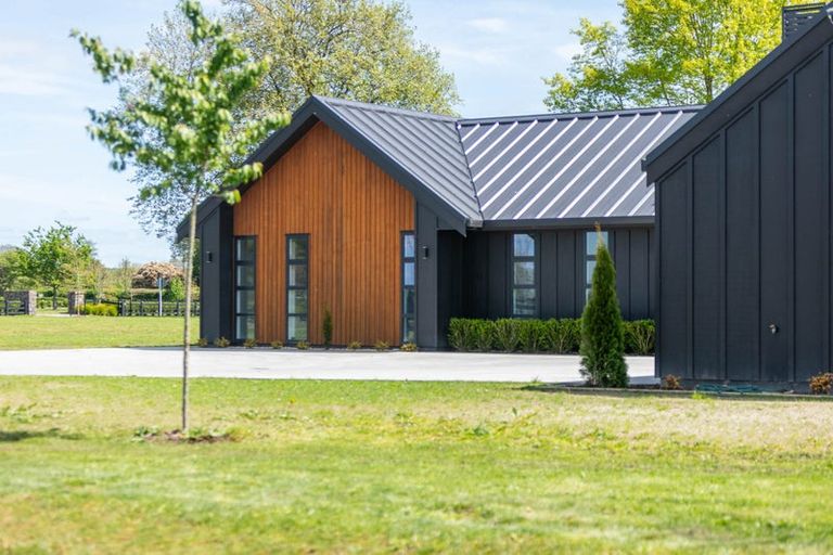 Photo of property in 7 Orchard Place, Matamata, 3472