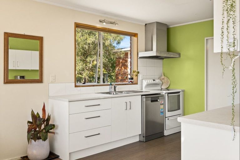 Photo of property in 54 Burraness Street, Palmerston, 9430