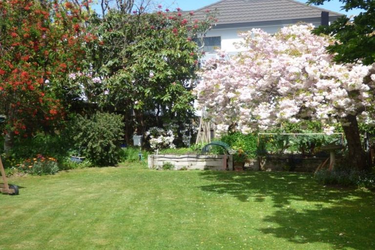 Photo of property in 45 Tui Street, Taupo, 3330