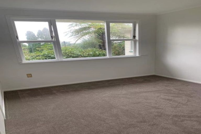 Photo of property in 25 Selwyn Crescent, Forrest Hill, Auckland, 0620