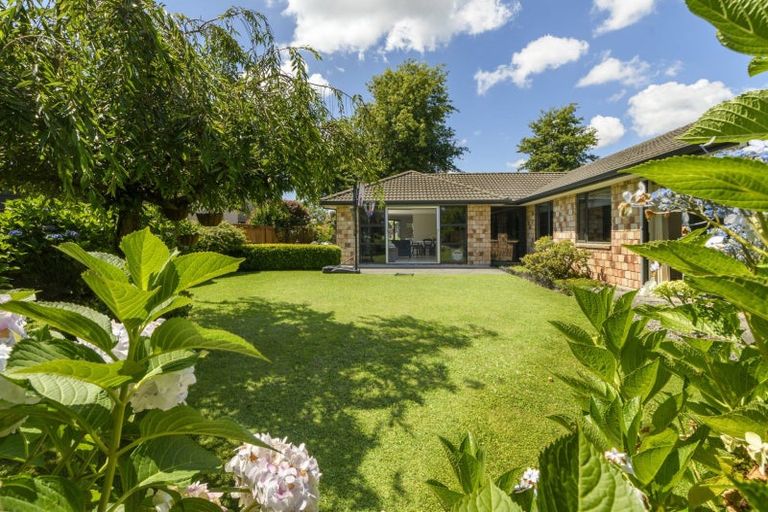 Photo of property in 24 Hansard Place, Bethlehem, Tauranga, 3110