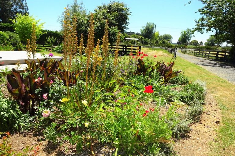 Photo of property in 170 Foxton Shannon Road, Foxton, 4893