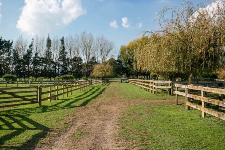 Photo of property in 298 Bellevue Road, Matangi, Cambridge, 3493