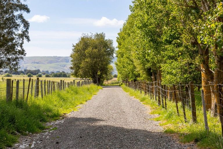 Photo of property in 179 Bidwills Cutting Road, Morison Bush, Greytown, 5794