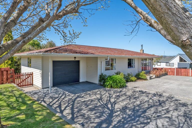 Photo of property in 18 Matipo Street, Lansdowne, Masterton, 5810