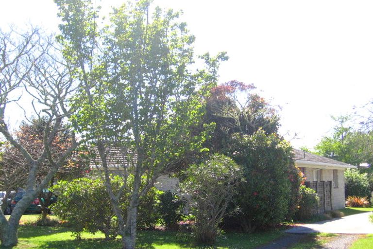 Photo of property in 3 Queen Street, Waihi, 3610