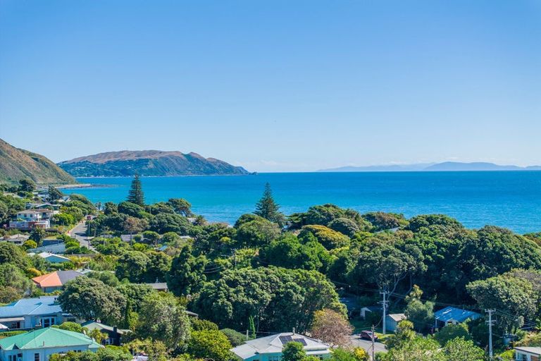 Photo of property in Te Kakariki Apartments, 5/5 Wellington Road, Paekakariki, 5034