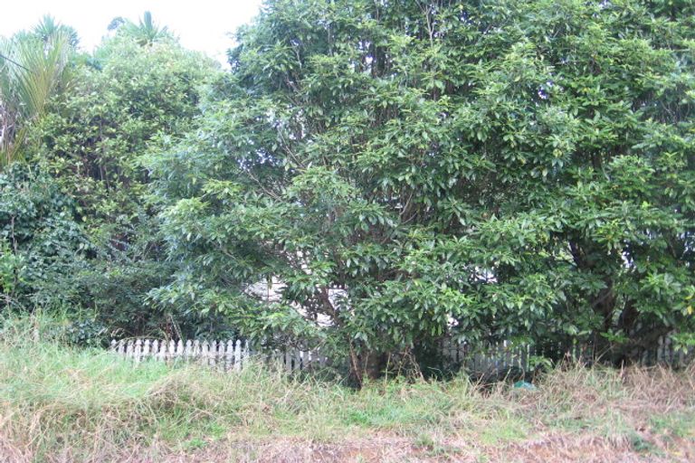 Photo of property in 8 Waima Crescent, Titirangi, Auckland, 0604