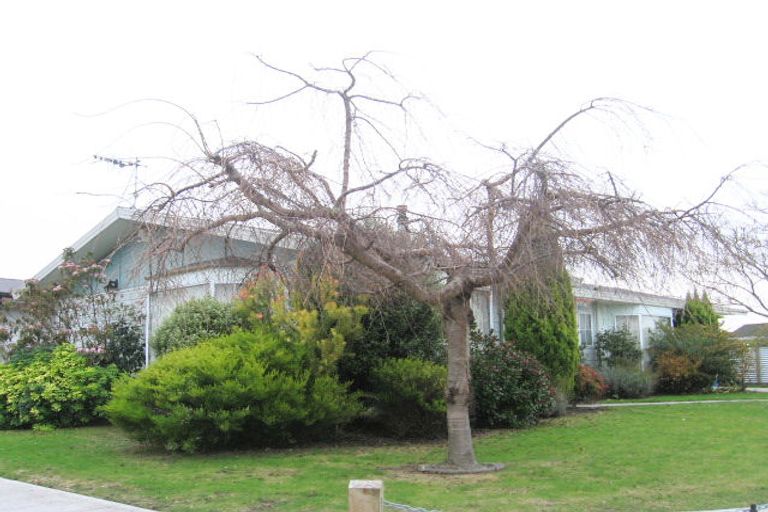 Photo of property in 17 King Street, Taradale, Napier, 4112