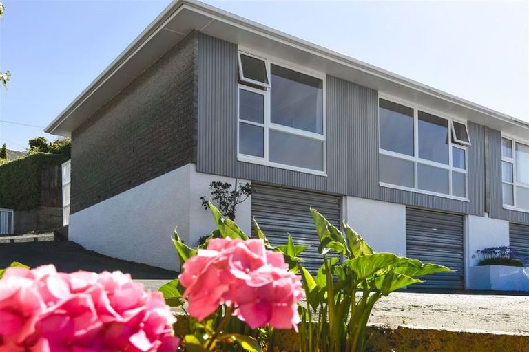 Photo of property in 92d Eglinton Road, Mornington, Dunedin, 9011