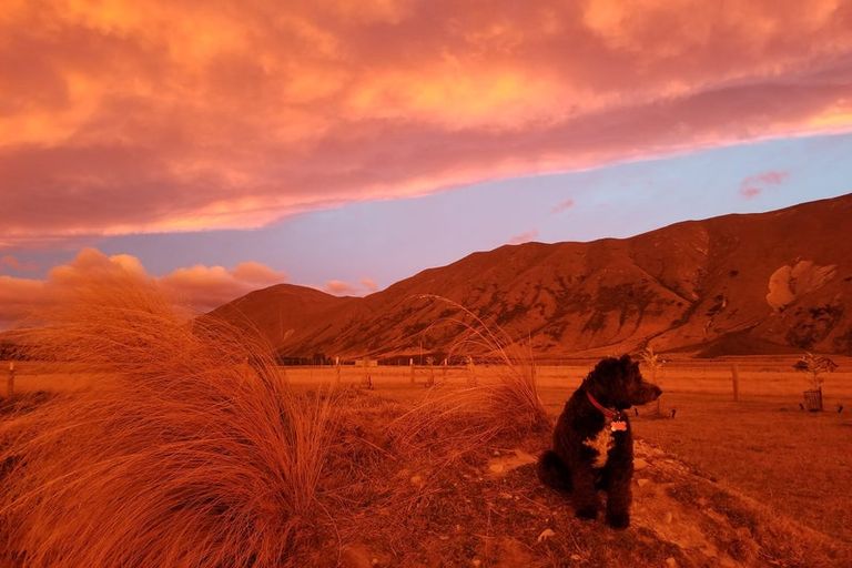 Photo of property in 356 Manuka Terrace, Ben Ohau, Twizel, 7999