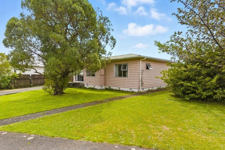 Photo of property in 15 Ross Street, Levin, 5510