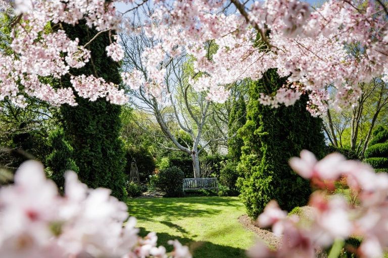 Photo of property in 14 Riverglade Drive, Tamahere, Hamilton, 3283