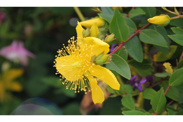 Photo of property in 247 Mangapai Road, Mangapai, Whangarei, 0178